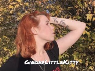 GingerLittleKitty