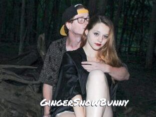 GingerSnowBunny