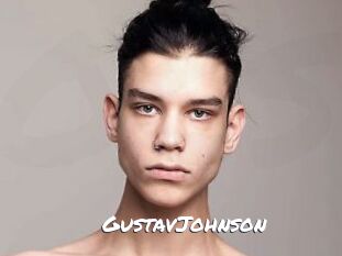 GustavJohnson Ochranne Siete