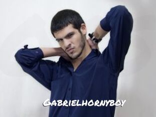 Gabrielhornyboy