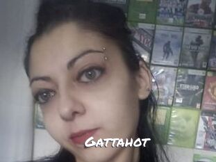 Gattahot