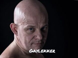 Gaylekker