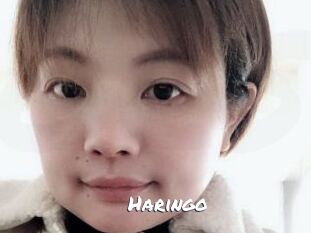 Haringo