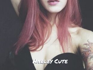 Harley_Cute