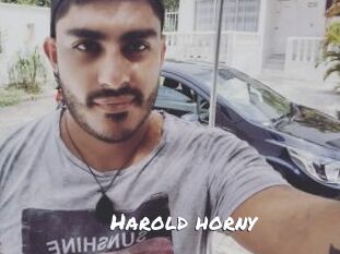 Harold_horny