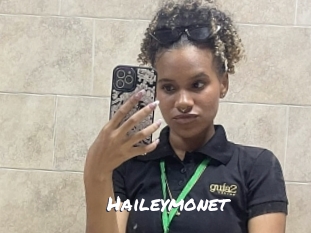 haileymonet Ochranne Siete