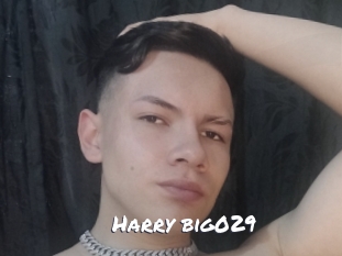 Harry_big029