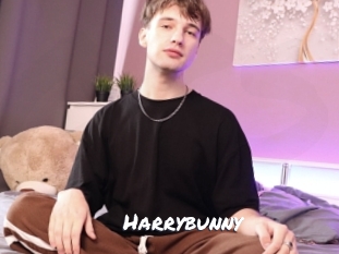 Harrybunny