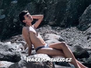 Harrysmenendez