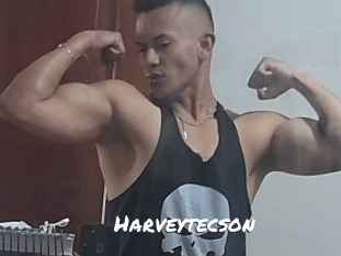 Harveytecson
