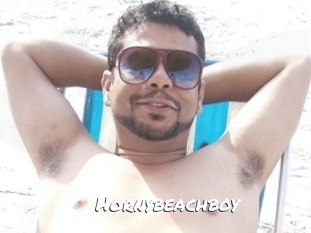 Hornybeachboy