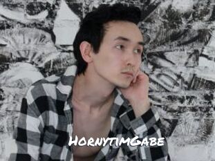hornytimGabe Ochranne Siete