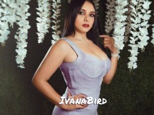 IvanaBird