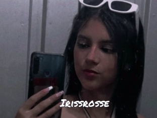 Irissrosse