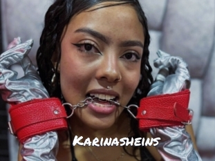 Karinasheins