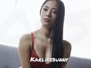 Karlieebunny