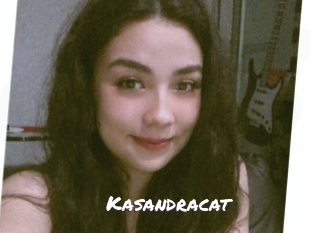 Kasandracat