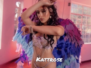 Kattrose