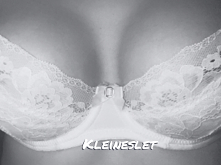 Kleineslet