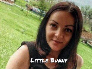 Little_Bunny_