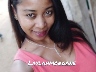 Laylahmorgane