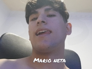 Mario_neta