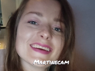 Martinecam