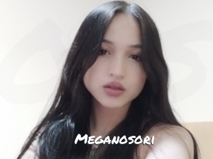 Meganosori