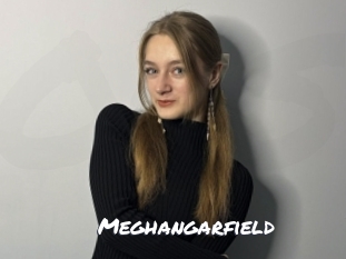 Meghangarfield