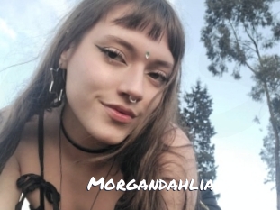 Morgandahlia