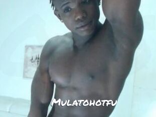 Mulatohotfu
