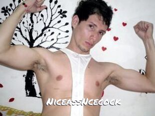 NiceassNcecock