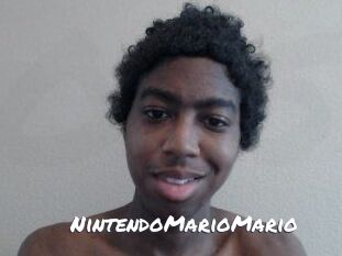 NintendoMarioMario