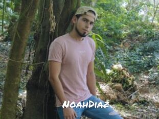 NoahDiaz