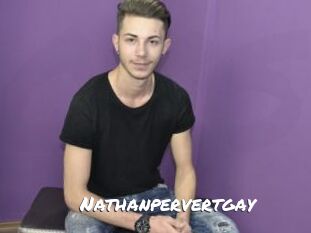 Nathanpervertgay