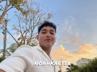 Noahkarter