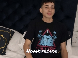 Noahsprouse