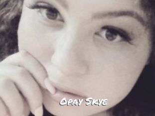 Opay_Skye