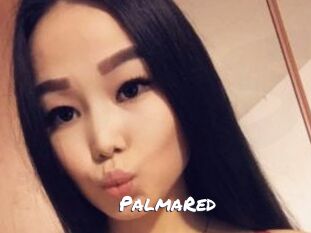 PalmaRed Ochranne Siete