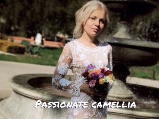 Passionate_camellia