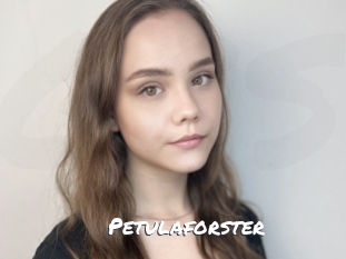 Petulaforster