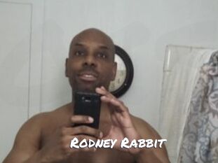 Rodney_Rabbit