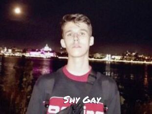 Shy_Gay Ochranne Siete