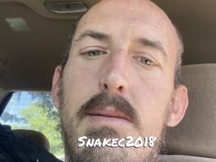 Snakec2018