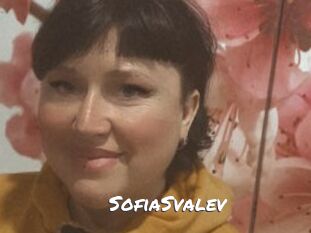 SofiaSvalev Ochranne Siete