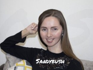 Sandybush