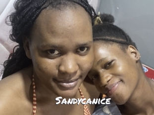 Sandycanice