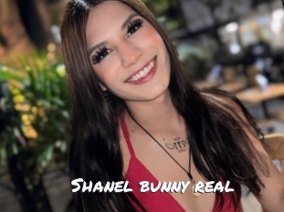 Shanel_bunny_real