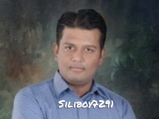 Siliboy7291