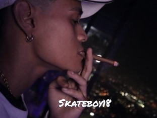 Skateboy18